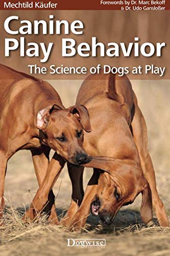 Canine Play Behavior: The Science of Dogs at Play