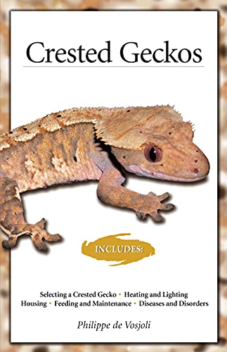 No Image Available