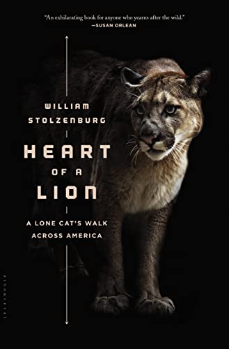 Heart of a Lion: A Lone Cat's Walk Across America