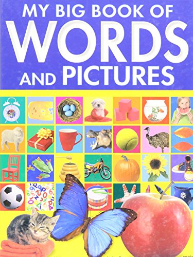 My Big Book of Words and Pictures