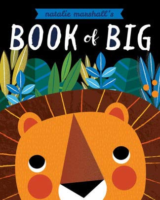 Book of Big