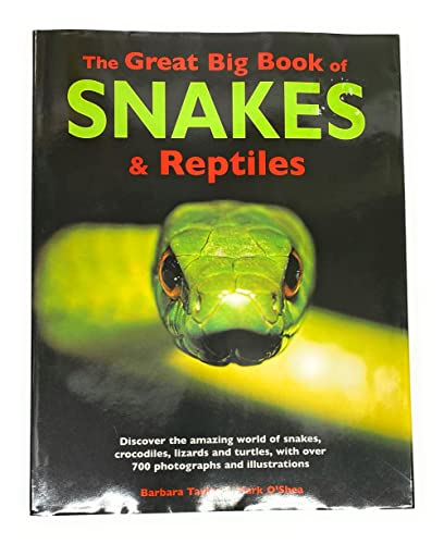 No Image Available