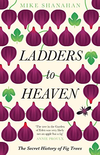 Ladders To Heaven
