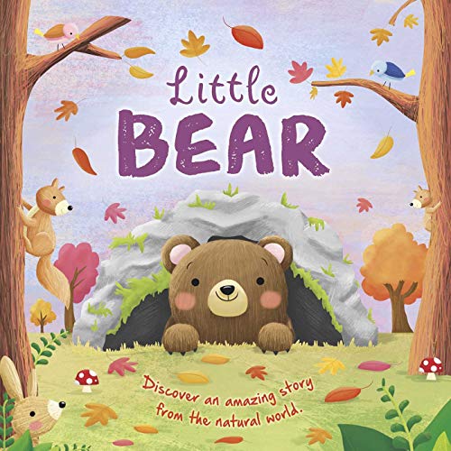 Nature Stories: Little Bear