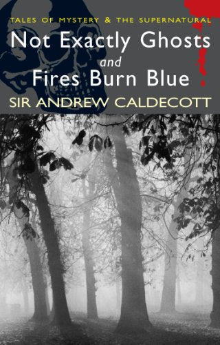 Not Exactly Ghosts/Fires Burn Blue (Tales of Mystery & the Supernatural)