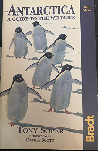 Antarctica: A Guide to the Wildlife (Bradt Wildlife Guides)