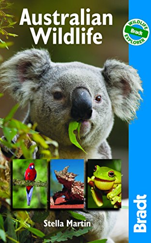 Australian Wildlife: A Visitor's Guide