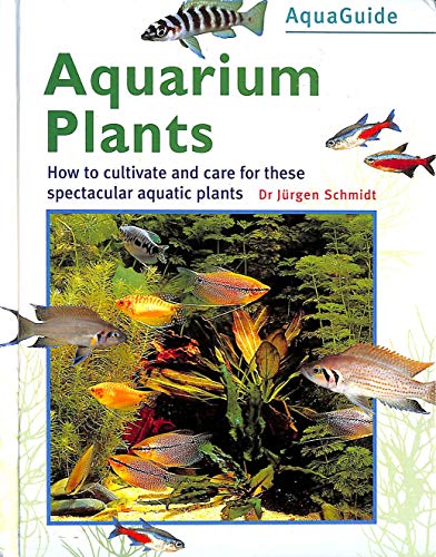 Aquarium Plants (The Aquamaster)