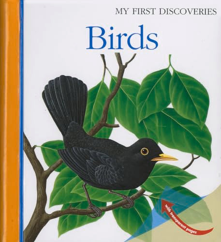 Birds (15) (My First Discoveries)