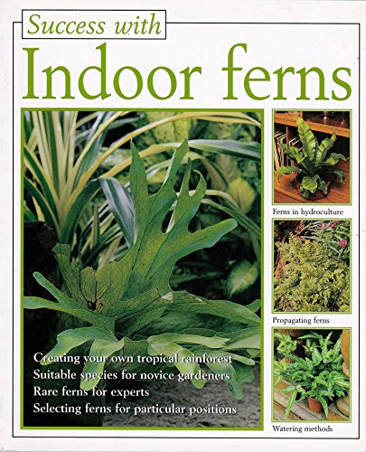 Indoor Ferns (The Success With Series)
