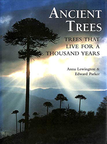 Ancient Trees: Trees That Live For 1,000 Years