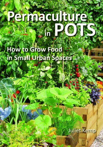 Permaculture in Pots: How to Grow Food in Small Urban Spaces