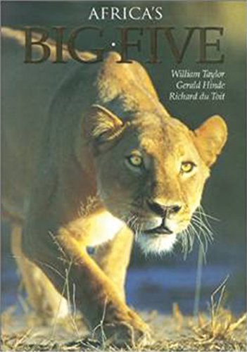 Africa's Big Five