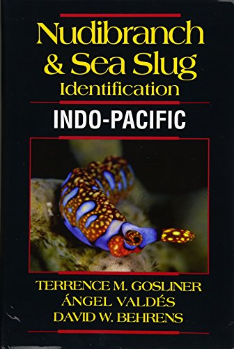 Nudibranch & Sea Slug Identification Indo-Pacific