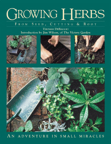 Growing Herbs from Seed, Cutting & Root: An Adventure in Small Miracles