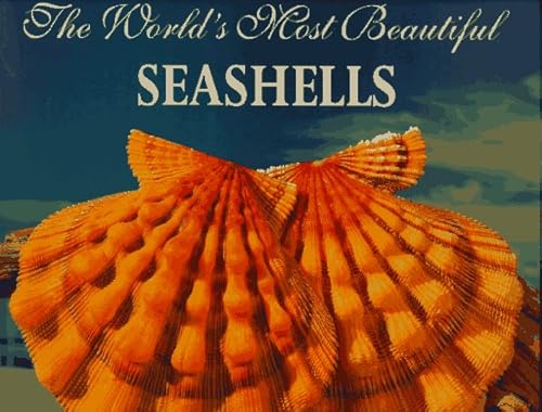 The World's Most Beautiful Seashells (Worlds Most Series)