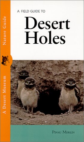 A Field Guide to Desert Holes
