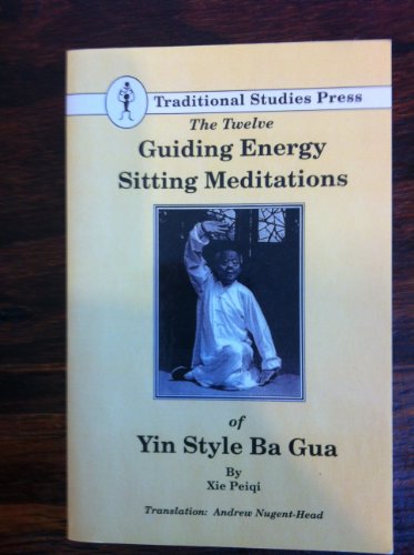 The Twelve Guiding Energy Sitting Meditations