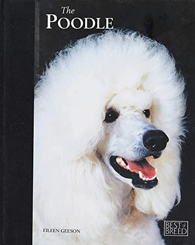 No Image Available