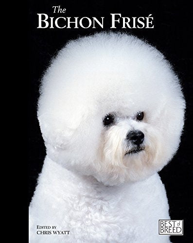No Image Available