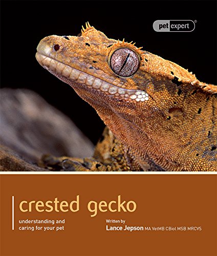 Crested Gecko: Understanding and Caring for Your Pet (Pet Expert)