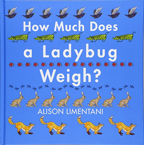 How Much Does a Ladybug Weigh? (Wild Facts & Amazing Math)