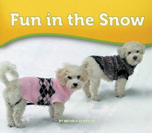 Fun in the Snow