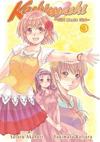 Kashimashi, Vol. 3