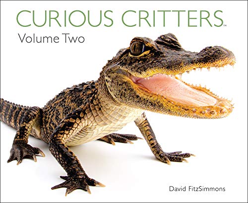 Curious Critters Volume Two (2)