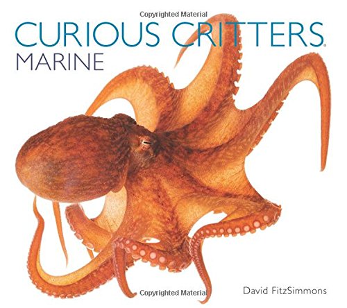 Curious Critters Marine