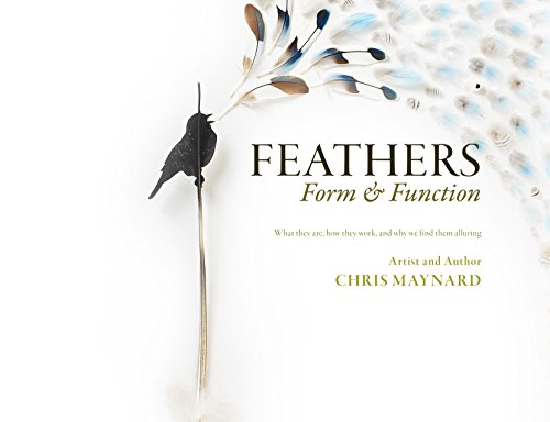 Feathers, Form & Function