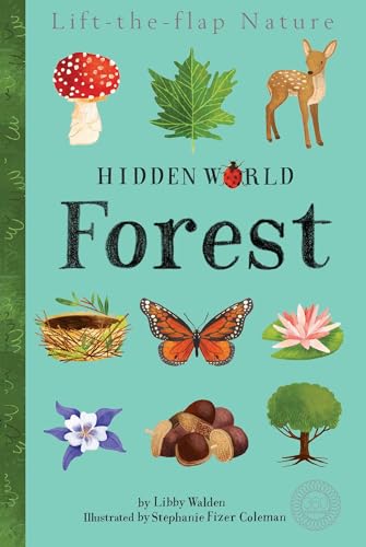 Hidden World: Forest (Tiger Tales)