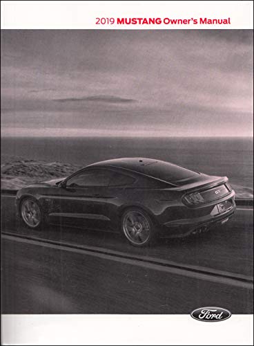 2019 Ford Mustang Owners Manual 19