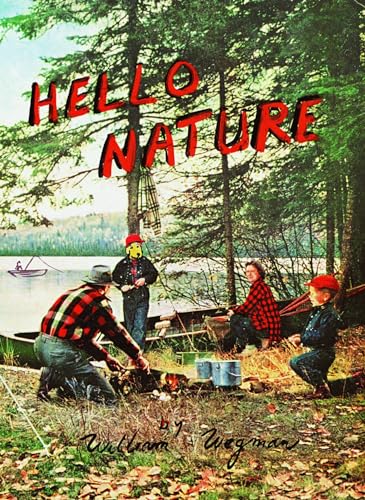 Hello Nature: How to Draw, Paint, Cook, And Find Your Way