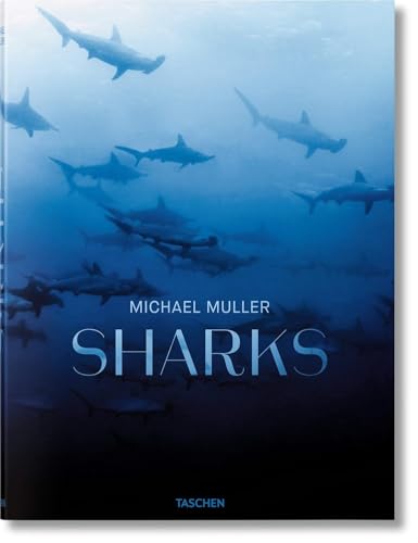 2019 Latest Edition Sharks, Michael Muller