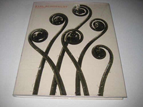 Karl Blossfeldt: Photography