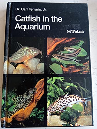 Catfish in the Aquarium
