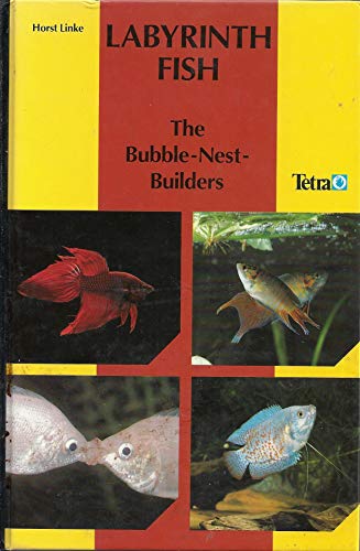 Labyrinth Fish: The Bubble Nest Builders