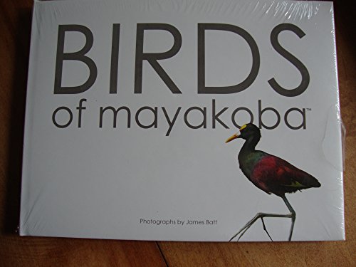 Birds of Mayakoba