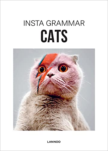 No Image Available