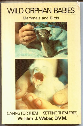 Wild Orphan Babies: Mammals and Birds : Caring for Them and Setting Them Free (Holt Owlet)
