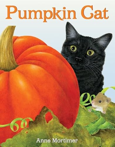 Pumpkin Cat