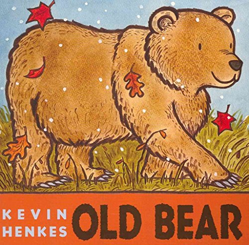 Old Bear Board Book