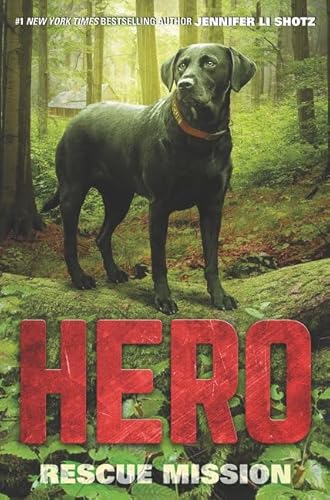 Hero: Rescue Mission