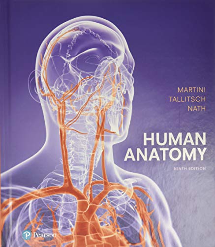 Human Anatomy