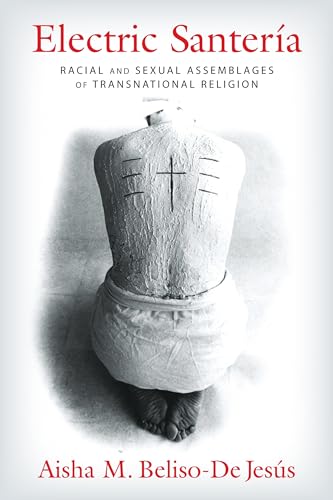 Electric Santería: Racial and Sexual Assemblages of Transnational Religion (Gender, Theory, and Religion)