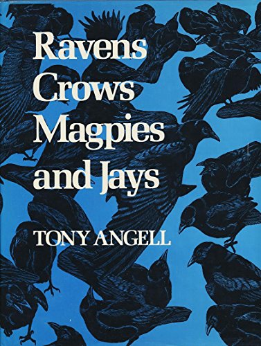 Ravens, Crows, Magpies and Jays