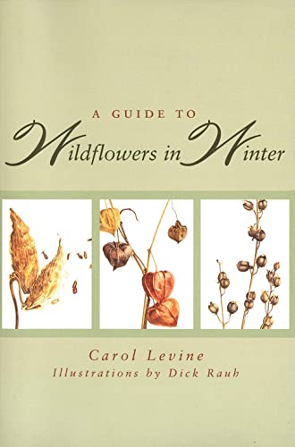 A Guide to Wildflowers in Winter: Herbaceous Plants of Northeastern North America