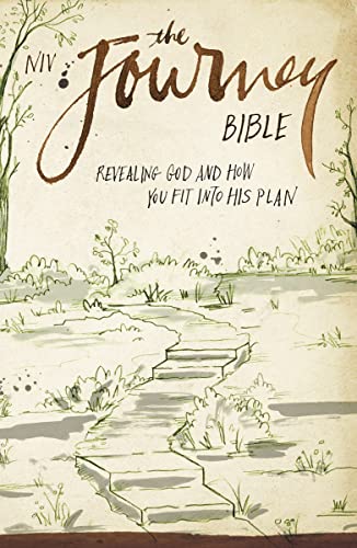NIV, The Journey Bible, Paperback: Revealing God and How You Fit into His Plan