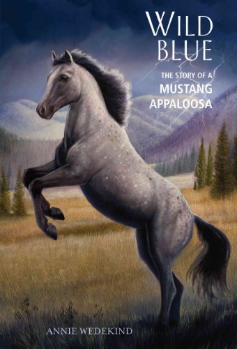 Wild Blue: The Story of a Mustang Appaloosa (The Breyer Horse Collection)